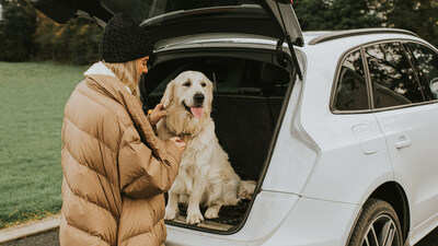 New survey commissioned by Erie Insurance reveals why so many Americans are driving with their dogs.