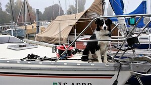 'Keeping your boat safe from damage,' a new report from the Paso Robles boat storage facility