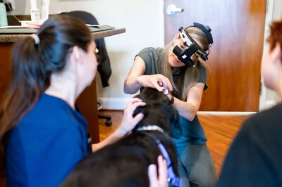 Veterinary Ophthalmologist provides eye exam to Service Dog during the 2023 National Service Animal Eye Exam Event.