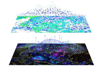 AI-driven spatial tissue image analysis
