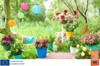 Flowerbulbs.eu Announces New Bulb Growing Trends in Containers