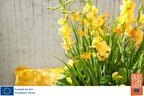 www.flowerbulbs.eu