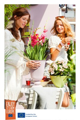www.flowerbulbs.eu