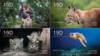 Air Canada and Jane Goodall Institute of Canada Spotlight Illegal Wildlife Trade and Biodiversity Challenges