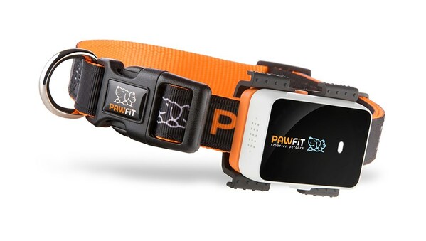 Meet Pawfit 3, the 100% waterproof, GPS pet location and activity tracker just added to the growing range of Pawfit pet care products.  This new style includes all the features and benefits Pawfit Pals love and trust in the Pawfit 3s model, and holds a battery charge for up to six days.  The 4G tracking technology provides pet parents another choice in pet care that is affordable and reliable.