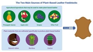 <em>Plant-based</em> Leather: IDTechEx Discusses if It's a Revolution in the Leather Industry