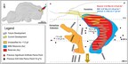 OceanaGold Drills Multiple Ore-Grade Intercepts at Horseshoe Extension at Haile and Extends Mineralization at Depth at Didipio