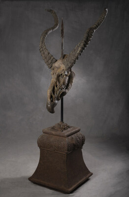 Unable to view the image, Please provide a valid URL.