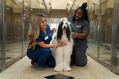 Associates from VCA Becker Animal Hospital in San Antonio, Texas