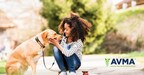 For National Dog Bite Prevention Week (April 7-13), experts provide tips to prevent likelihood of bites