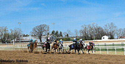 Quarter horses sprint to the finish line at the 2nd annual Sandy Ridge at Red Mile races.