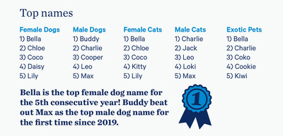 AMC's Top Dog and Cat Names of 2023.