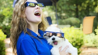 Dog and owner safely watching the Solar Eclipse.