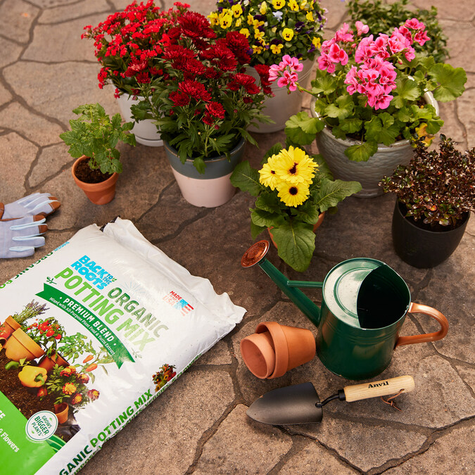 Organic Gardening Brand Back to the Roots Launches Its Fan Favorite Soils  in Select The Home Depot Stores Throughout Austin, Dallas, and Houston