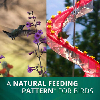 Hummingbird feeding on purple flowers in nature next to a hummingbird feeding on a Cascade Helix Hummingbird Feeder. Cascade Feeders mimic nature and provide a Natural Feeding Pattern™ for birds.