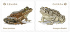 New Canada Post stamps raise awareness of endangered frogs