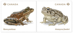 De nouveaux timbres de Postes Canada nous sensibilisent au sort des grenouilles en voie de disparition