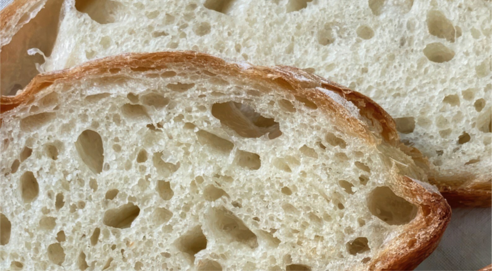 Il Granaio delle Idee and Ginkgo Bioworks Announce Strategic Collaboration to Optimize Sourdough Strains for Bakery Products