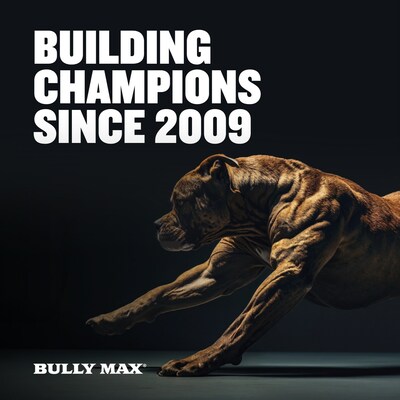 Bully Max - Building Champions Since 2009