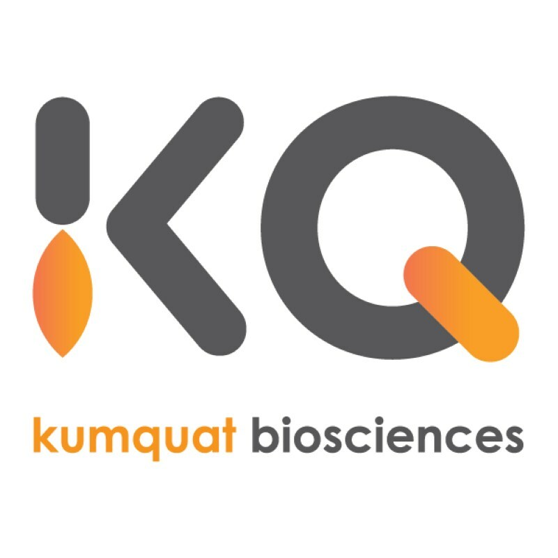 Bayer and Kumquat Biosciences enter global exclusive license and collaboration in precision oncology