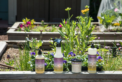 The Compassion Flower product line including the (from left to right) Hand Soap, Multi-Surface Everyday Cleaner, Large Soy Candle, and Dish Soap.