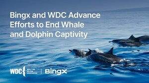 ITA -BingX e WDC hanno compiuto progressi significativi nel mettere fine alla cattività di balene e delfini