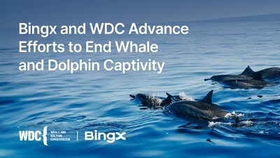 BingX y WDC logran avances en su lucha por terminar con el cautiverio de ballenas y delfines (PRNewsfoto/BingX)