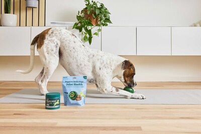 Woof’s Breakthrough Product Line Offers Playful Solutions Tailored for Dogs' Health and Vitality