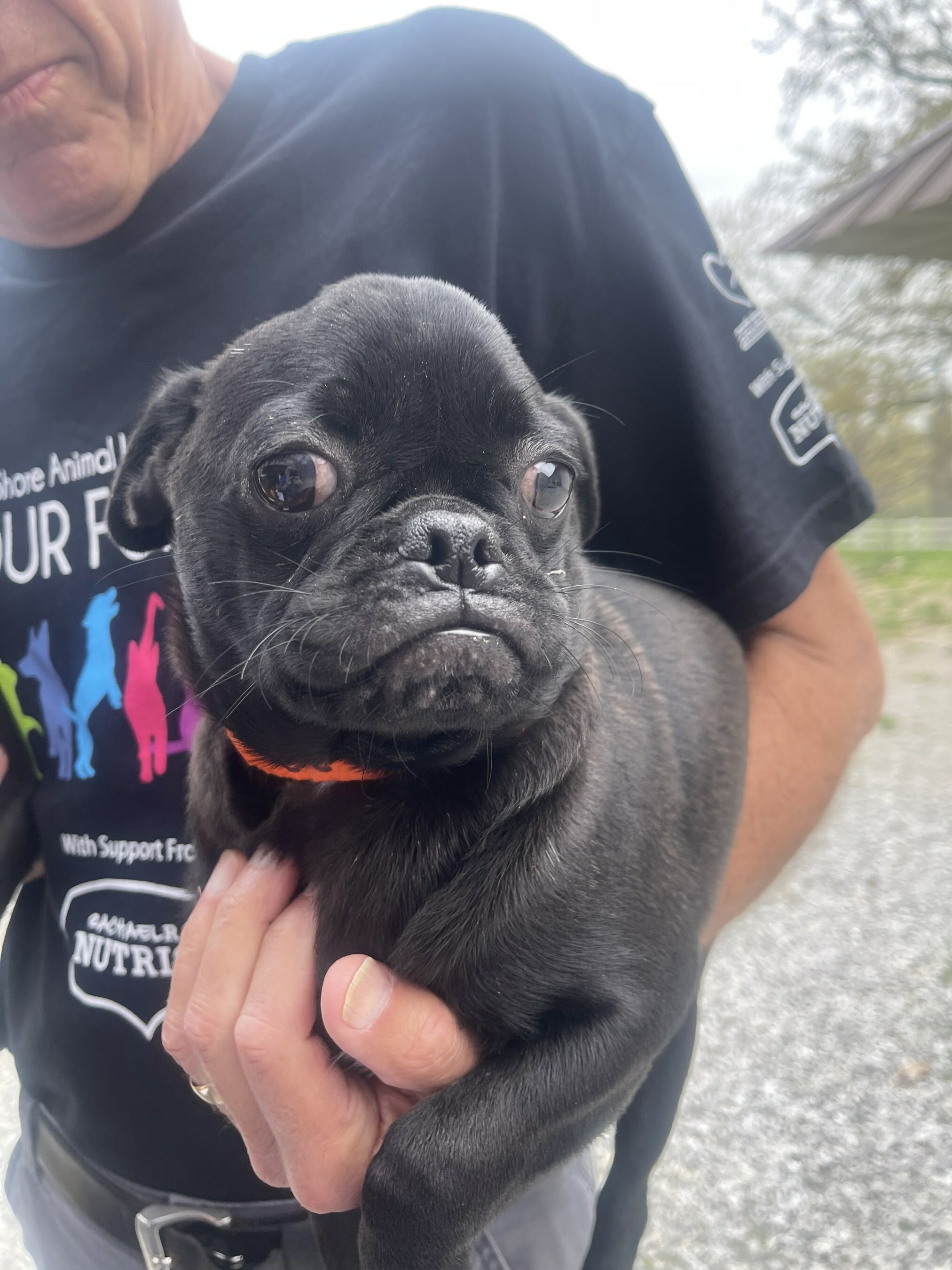 Unable to view the image, Please provide a valid URL.