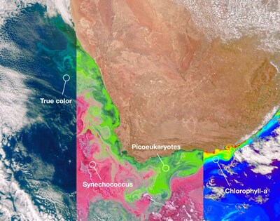 For a media briefing in advance of Earth Day, NASA will share info about next steps for its Earth research program, as well as highlight our newest Earth-observing satellite PACE (Plankton, Aerosol, Cloud, ocean Ecosystem). This image from PACE shows two different communities of phytoplankton in the ocean off the coast of South Africa on Feb. 28, 2024.