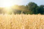 Una maggior scelta di estratti di cereali più ecocompatibili per i clienti europei di Univar Solutions grazie all'espansione della partnership con Meurens Natural