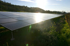 Solar panels at ZD's Rutherford Estate