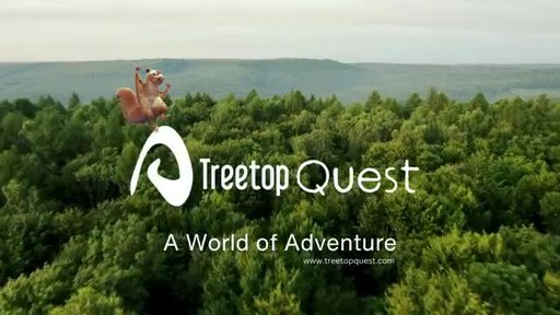 Discover Adventure in the Trees with Treetop Quest's Aerial Adventure Experience