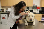 Veterinary Innovation Council Launches New Resources to Help Provide Access to Veterinary Care to Millions of Pet Owners in Underserved Communities