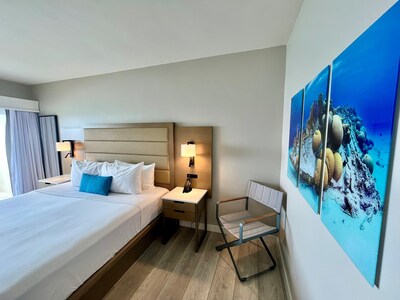 Renovated Rooms Divi Flamingo Beach Resort