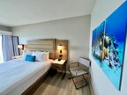 Renovated Rooms Divi Flamingo Beach Resort