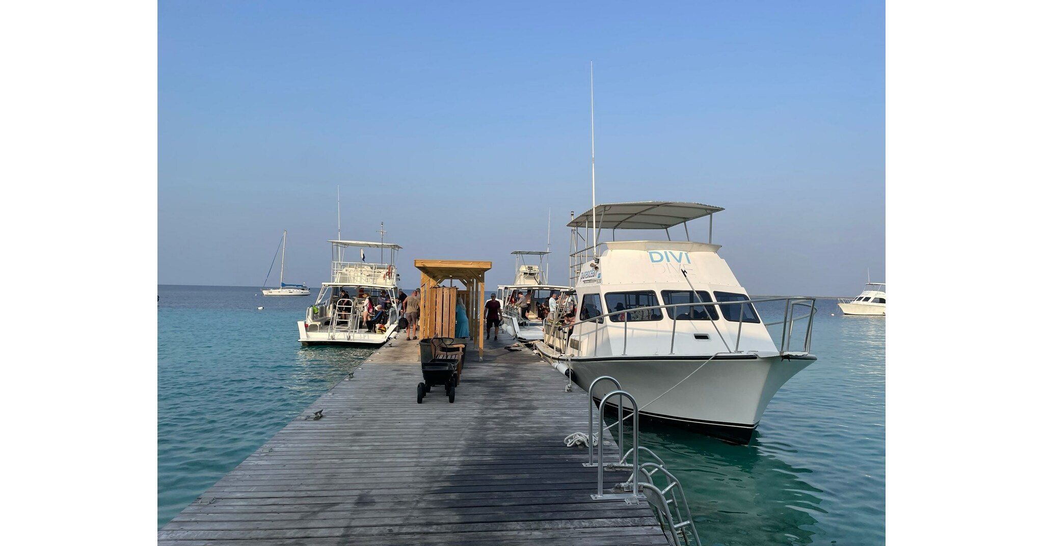 Divi Flamingo Beach Resort & Casino Welcomes New Dive Operations