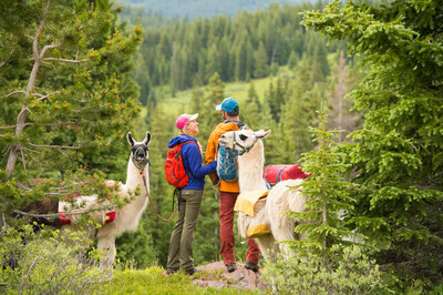Paragon Guides offers unique hiking options with llamas throughout the summer including "Take a Llama to Lunch" hikes.