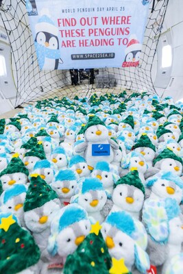 Zero Gravity Corporation Celebrates World Penguin Day on April 25th by Sending 275 Plush Penguins Into Zero Gravity
Photo Credit is Steve Boxall/Zero-G