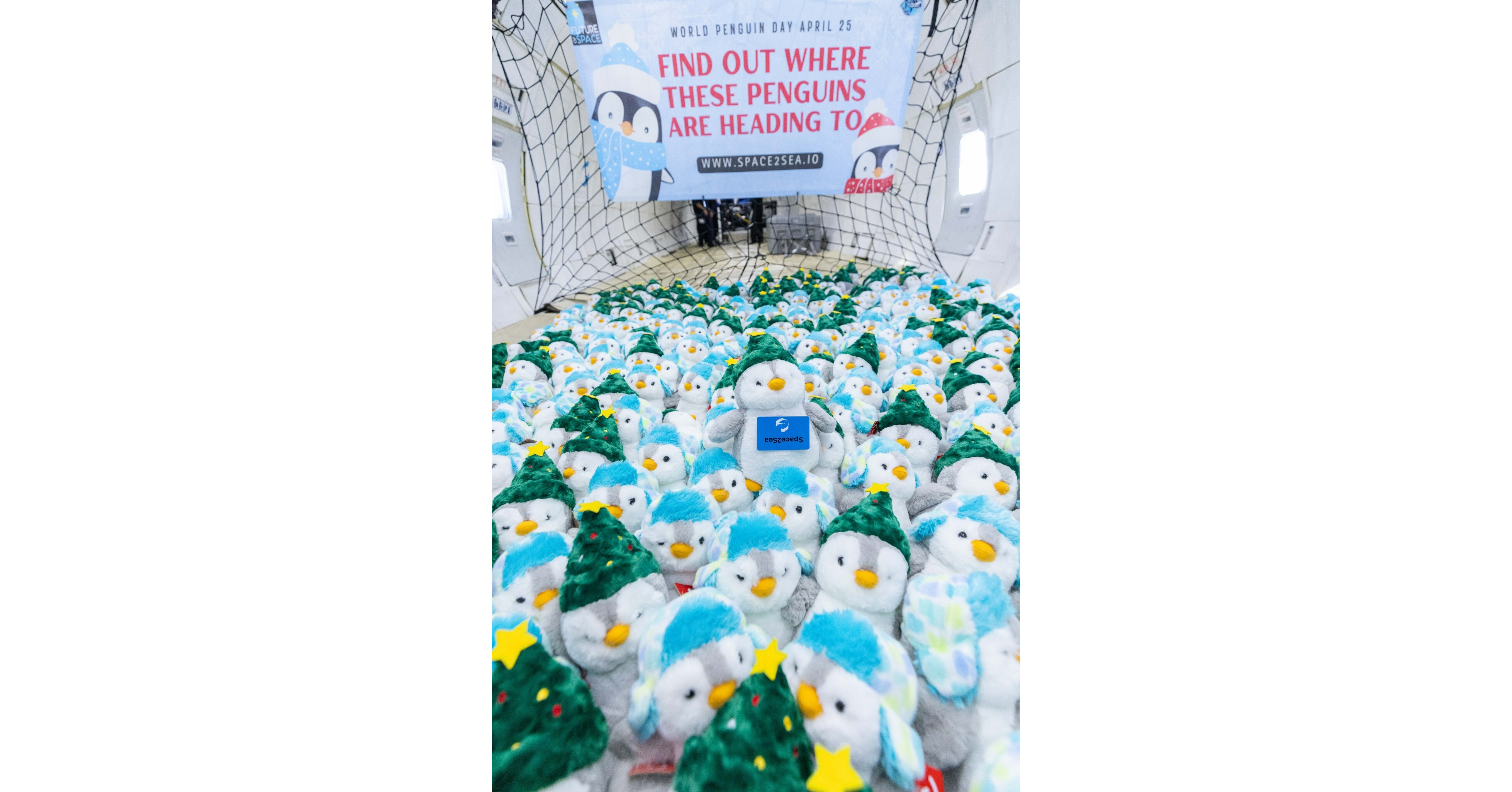 Zero Gravity Corporation Celebrates World Penguin Day on April 25th by ...