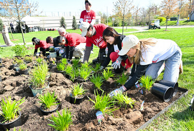 Attendees plant native species at the new pollinator garden at Life's Good Earth Day Community Fair, Monday, April 22, 2024, at the LG Electronics North American Innovation Campus inEnglewood Cliffs, NJ.  Earning a Certified Wildlife Habitat certification through the NWF, LG's garden is outfitted with native plants, designed to attract a mixture of pollinators, such as bees, butterflies, moths, and beetles, which will encourage biodiversity, plant growth, clean air, and support wildlife.  (Diane Bondareff/AP Images for LG Electronics)