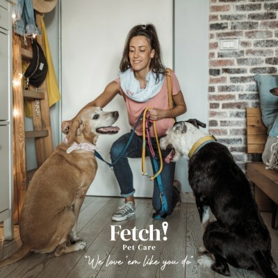 Fetch! Pet Care Spring Hill