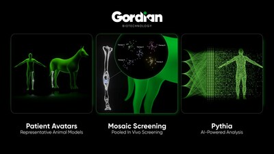 Gordian Biotechnology Gene Therapy Testing Platform