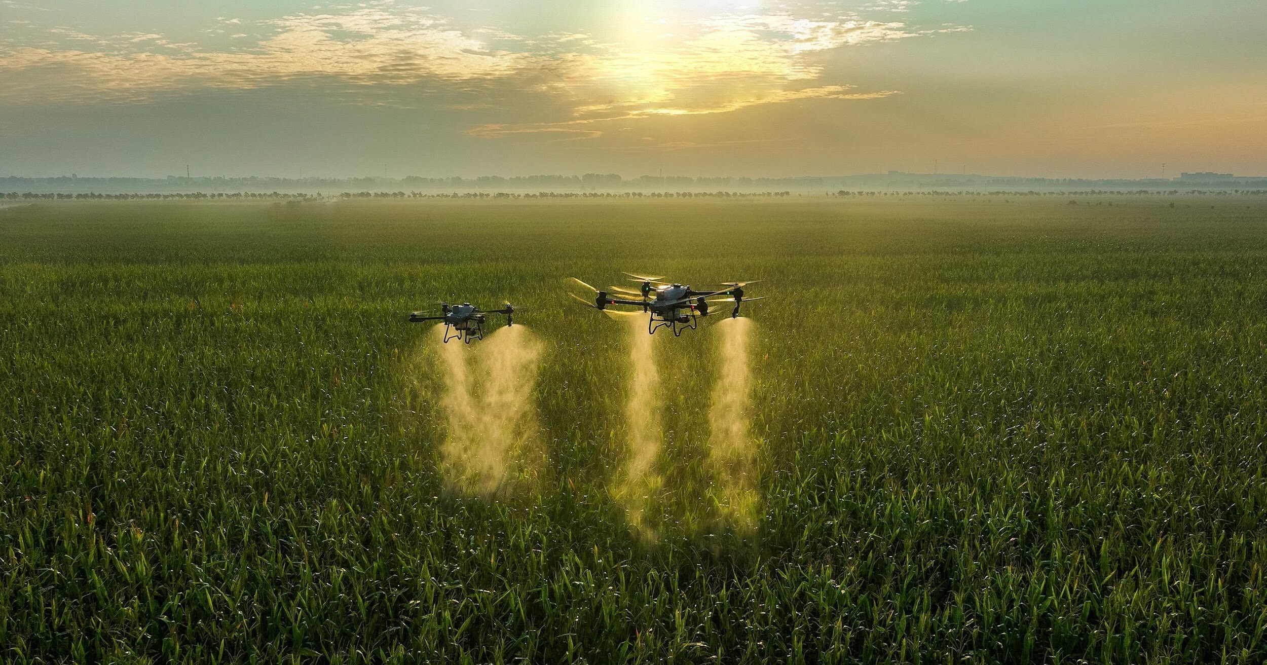 DJI Agras T50 and T25 Expand Aerial Crop Protection Capabilities