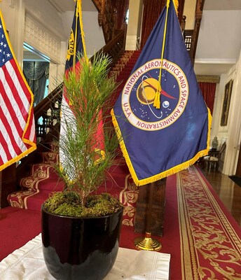 Photo of a Loblolly Pine Artemis I Moon Tree during a tree dedication ceremony at the North Carolina Governor’s mansion on Wednesday, April 24, 2024. Credits: NASA/OLIA