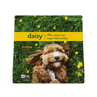 Daisy: kibble for playful pups