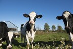 DFC AND STARBUCKS CANADA JOIN TOGETHER TO SUPPORT A SUSTAINABLE FUTURE FOR DAIRY