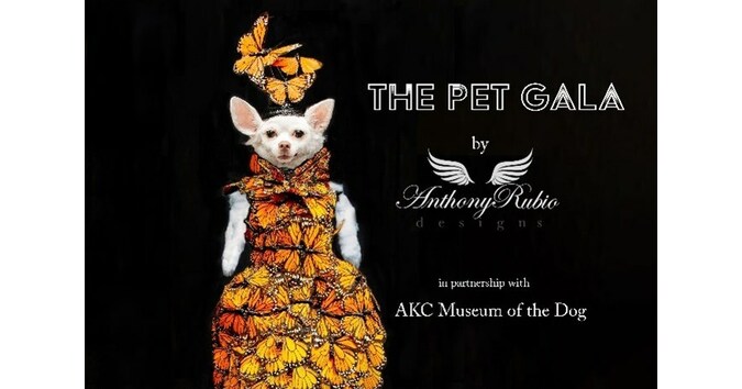 PET FASHION DESIGNER ANTHONY RUBIO TO HOST FIRST „PET GALA” AT THE AKC MUSEUM...