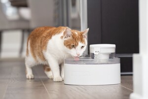 PetSafe® introduces its latest pet tech innovation with the world's first pumpless pet fountain