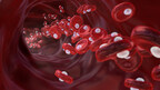 Shutterstock image. Red blood cells transporting oxygen molecules in healthy artery.
